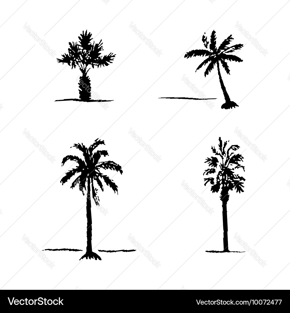 Palm Tree Sketch Set Vector Image