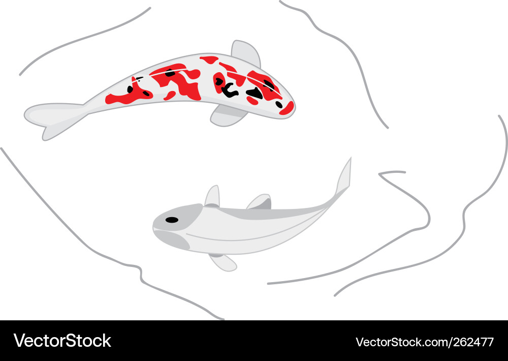 Two koi carps Vector Image