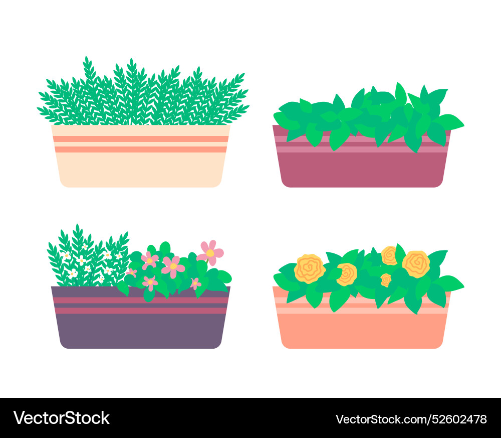 Cartoon Farbe Indoor Pflanzen Blumen Box Set Cartoon Farbe Indoor Pflanzen Blumen Box Set vektorbild