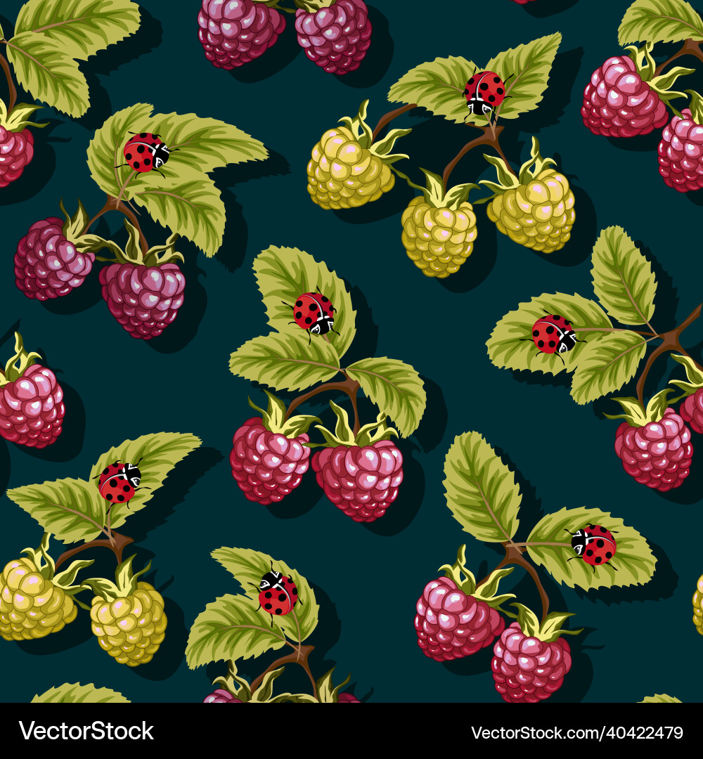 Raspberry and ladybugs in the pattern Raspberry and ladybugs in the pattern Vector Image