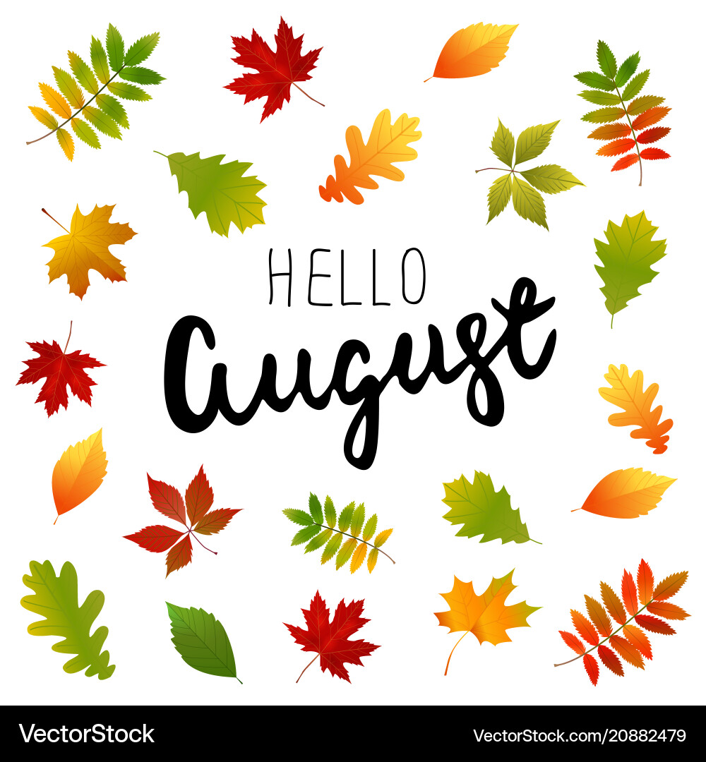 Set autumn yellow green red leaves Set autumn yellow green red leaves vector image