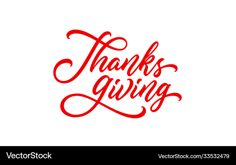 Thanksgiving Script Text vector image