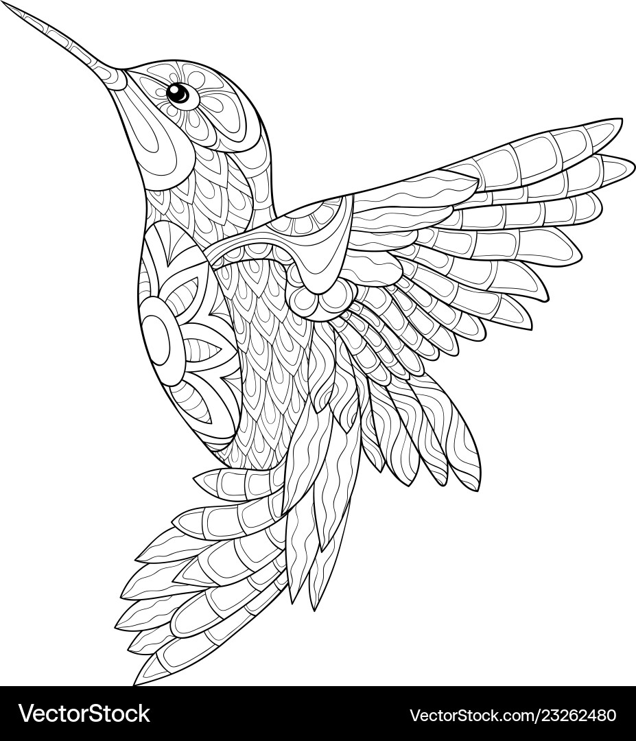 Adult coloring bookpage a cute hummingbird image Adult coloring bookpage a cute hummingbird image vector image
