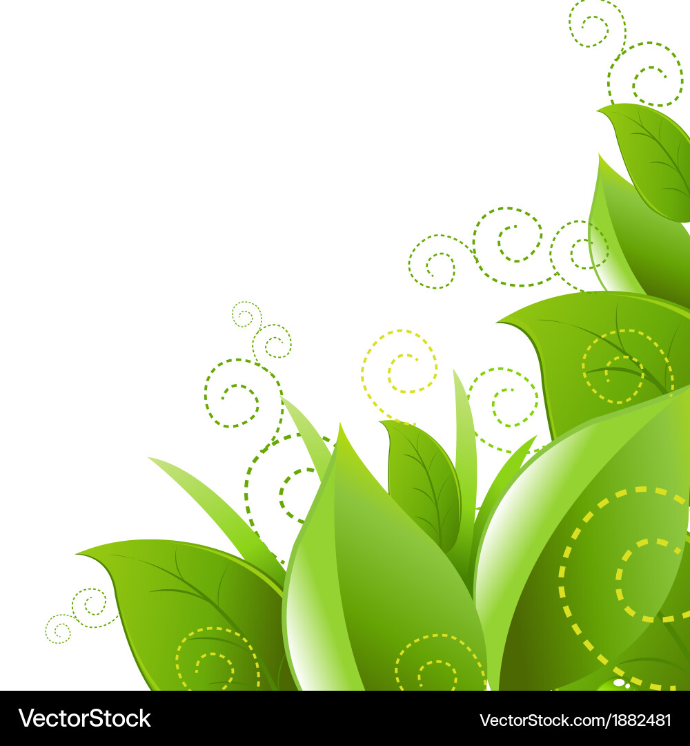Leafs and grass Royalty Free Vector Image - VectorStock