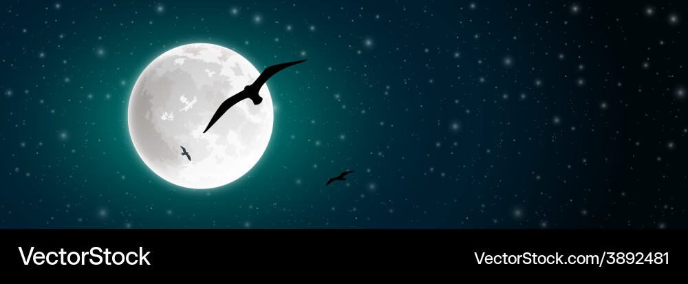 Nocturnal Moon and Bird Silhouette Vector Image