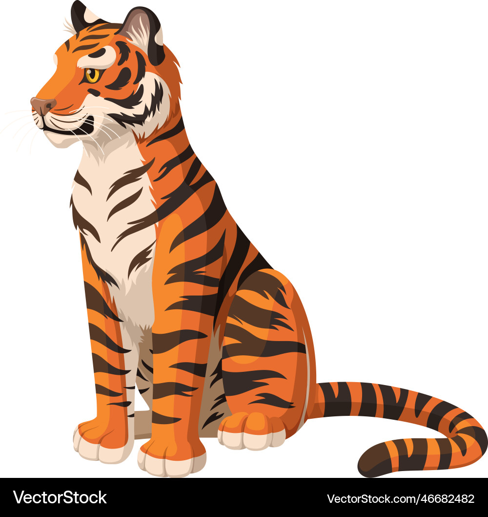 Amur tiger sitting isolated on white background Amur tiger sitting isolated on white background vector image