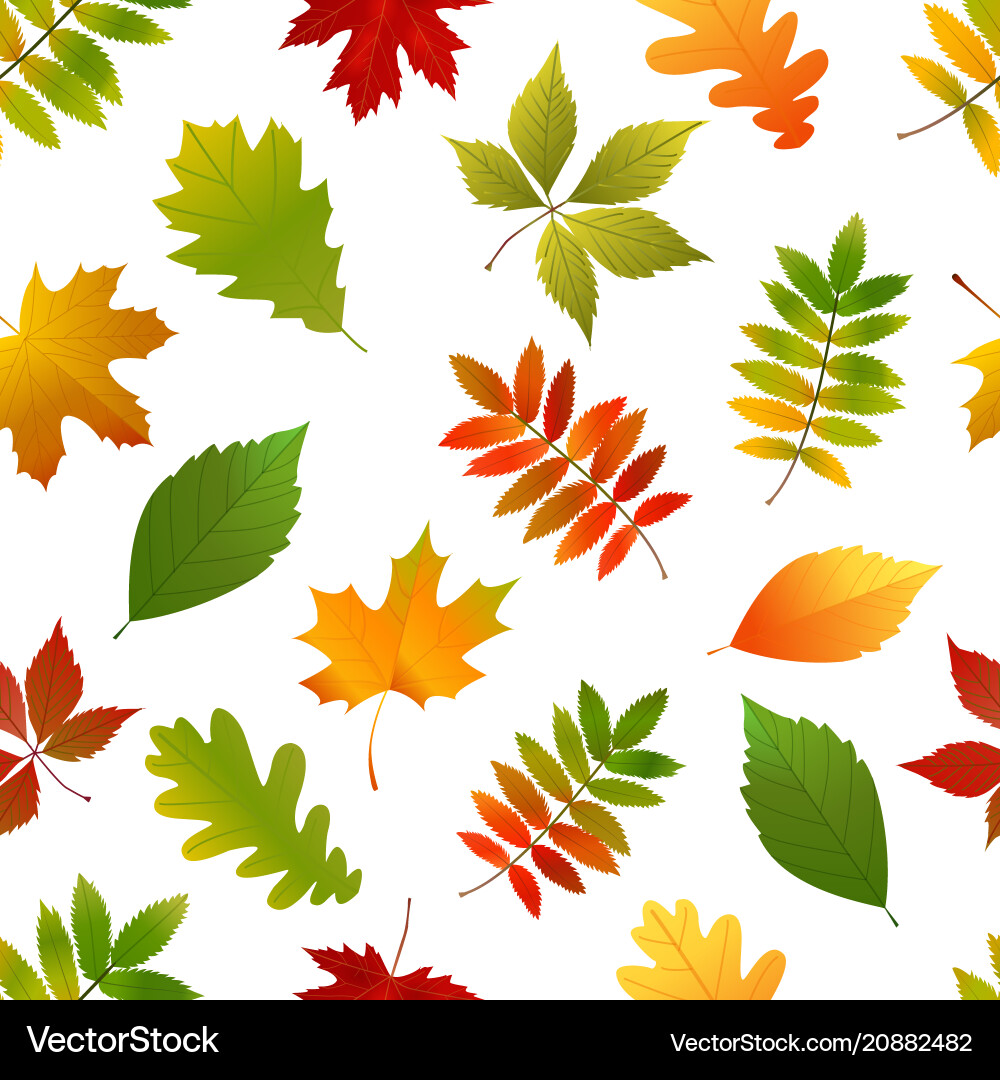 Autumn Leaf Seamless Pattern vector image