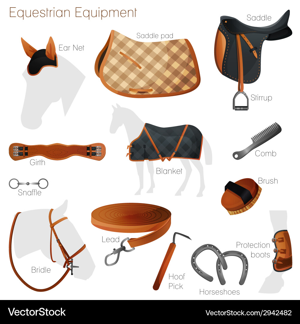 Set of equestrian equipment vector image