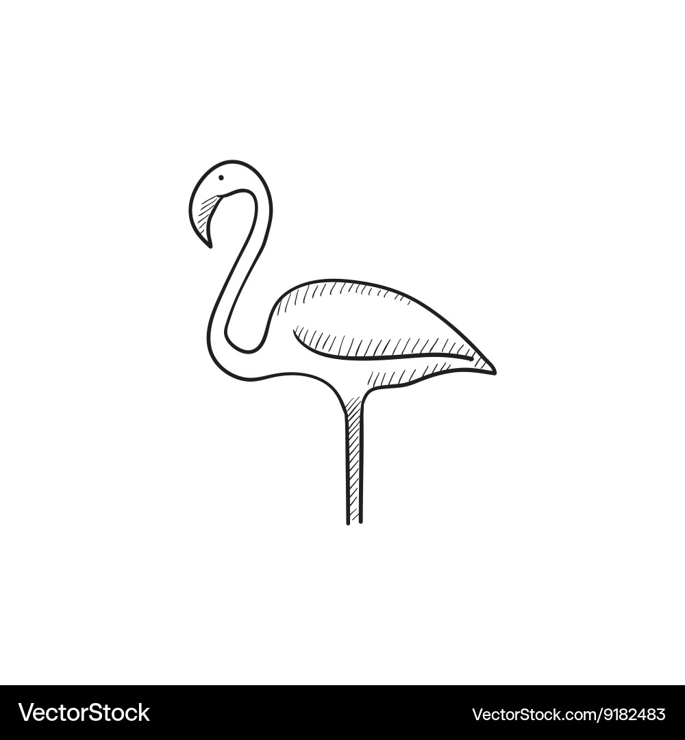 Flamingo sketch icon Vector Image