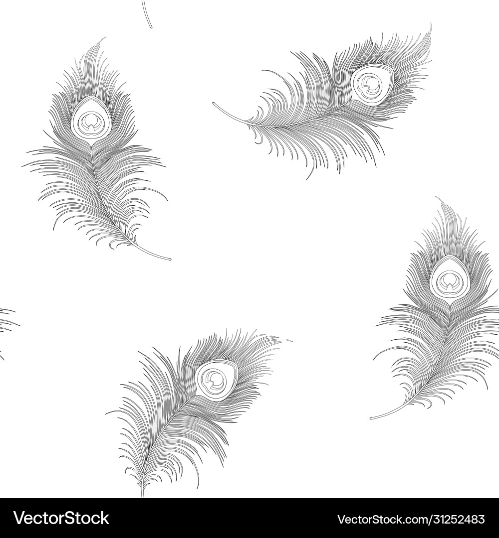 Peacock feathers seamless pattern background Peacock feathers seamless pattern background vector image