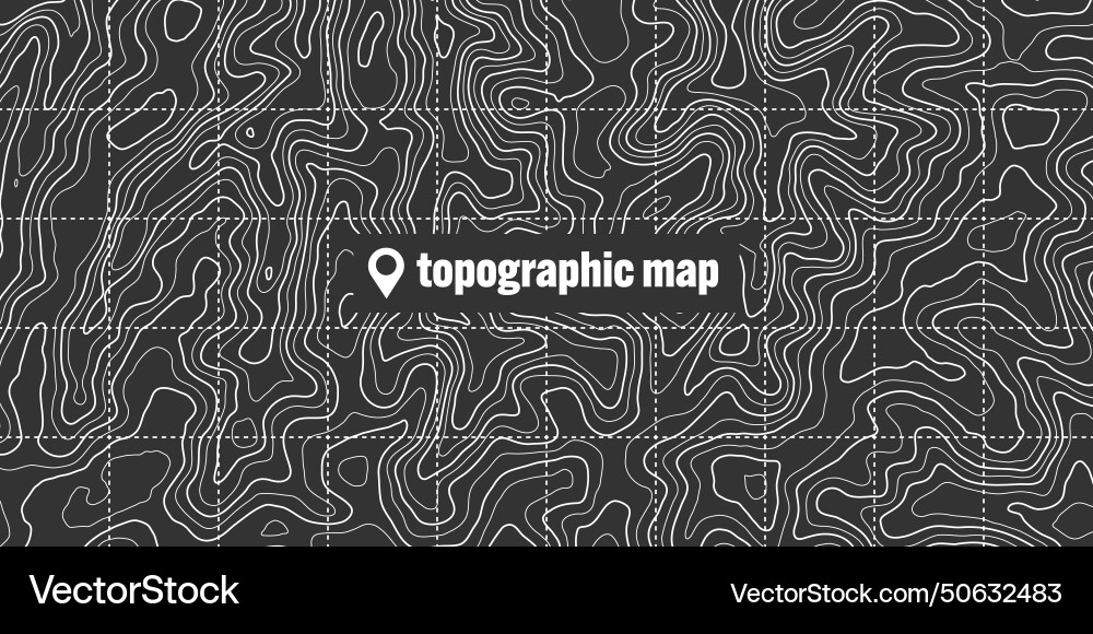 Topographic map with contour lines geographic vector image