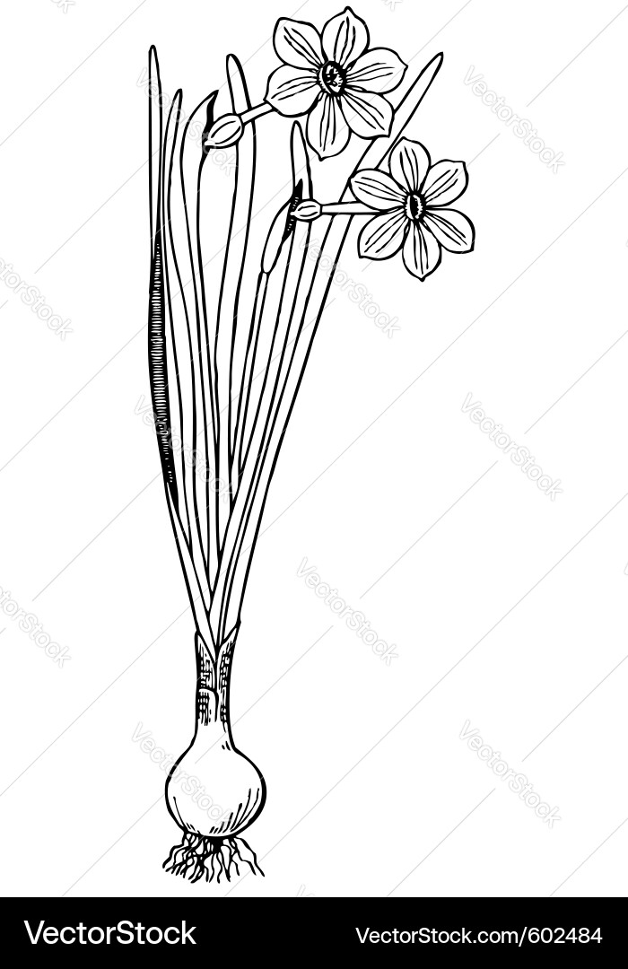 This image is a and can be scaled to any size Vector Image