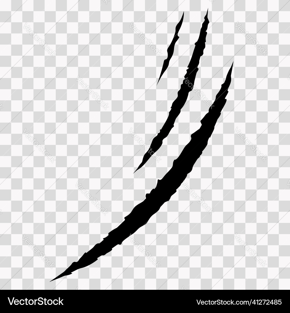 Cat scratches animal claw marks in black monster Cat scratches animal claw marks in black monster Vector Image