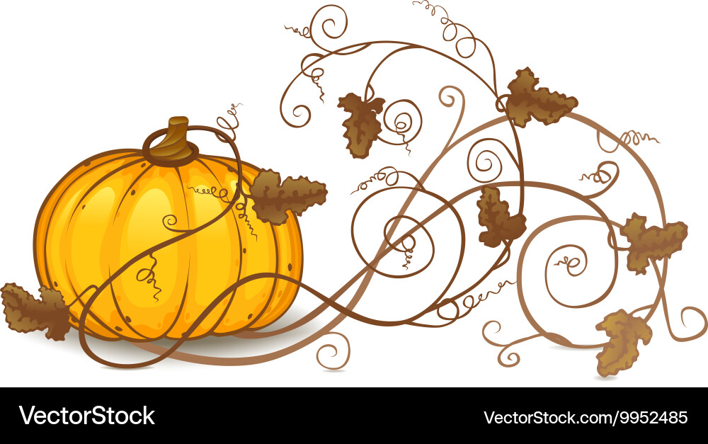 Elegant Pumpkin with Swirls Vector Image