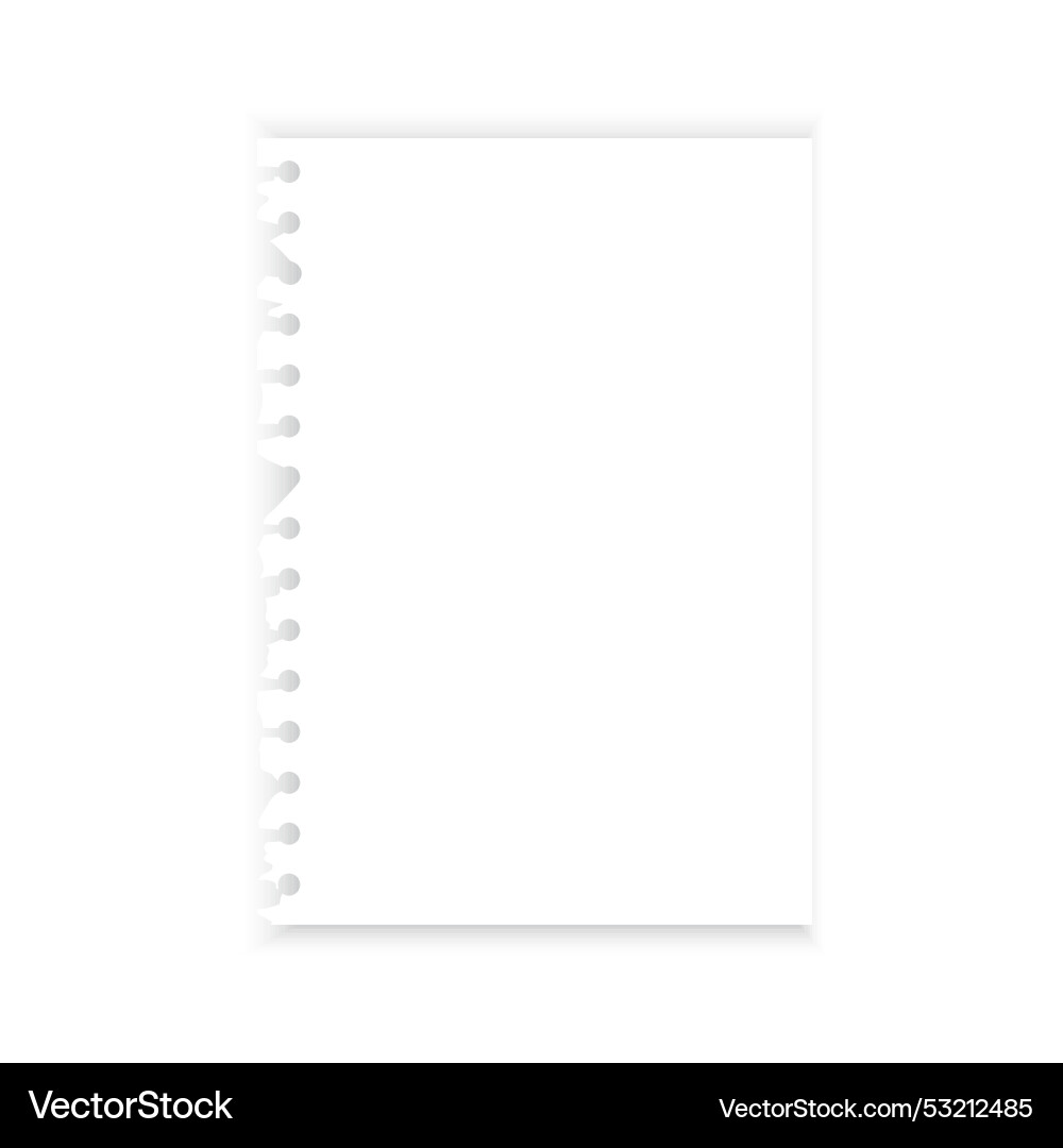 Torn notebook page spiral binding edge blank vector image