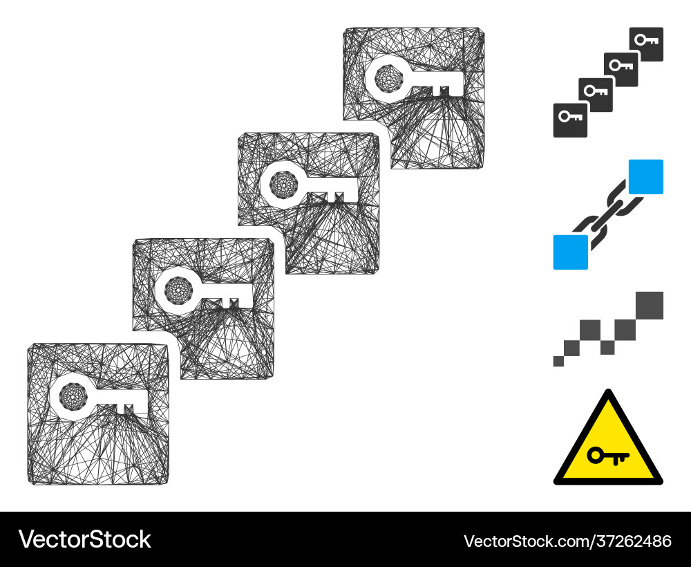 Net key blockchain mesh Net key blockchain mesh vector image