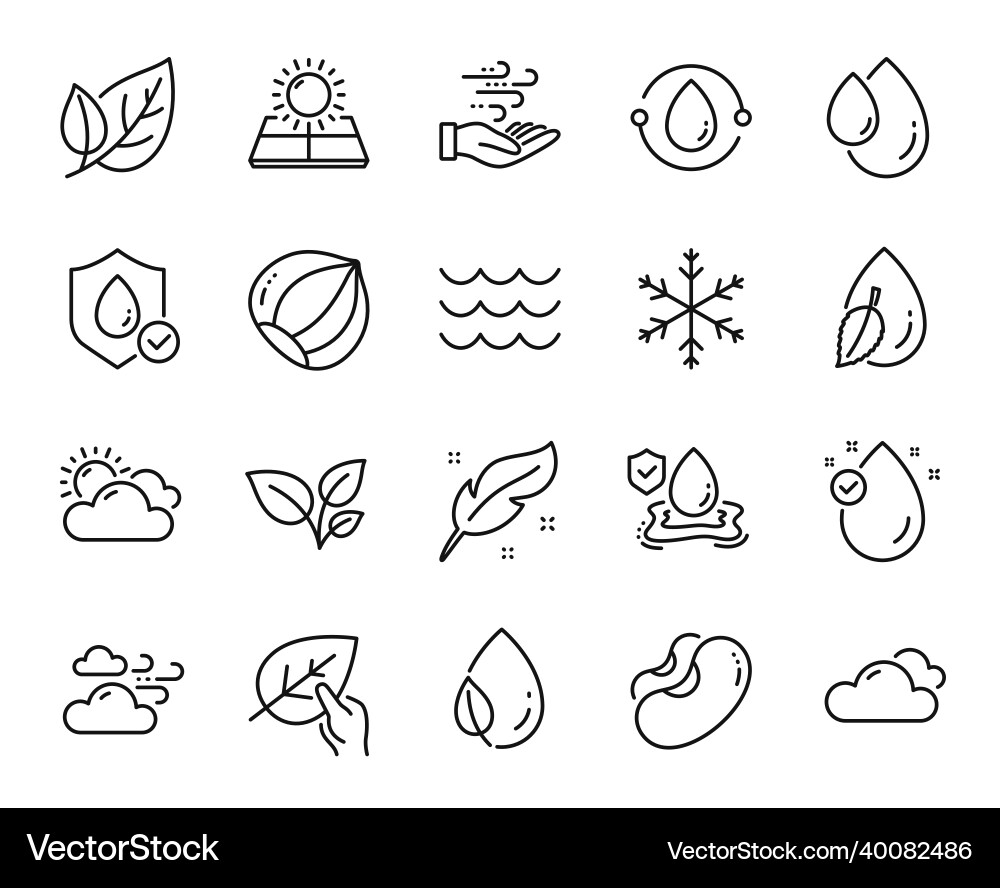 Set of hazelnut snowflake and cloudy Set of hazelnut snowflake and cloudy Vector Image