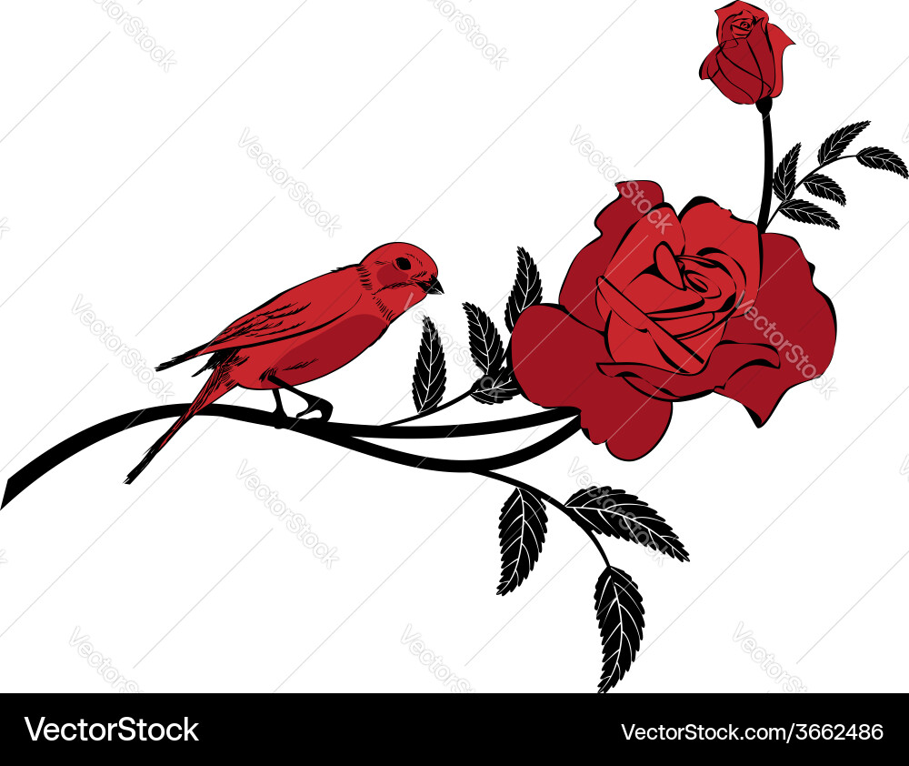 Valentine vignette with bird Vector Image
