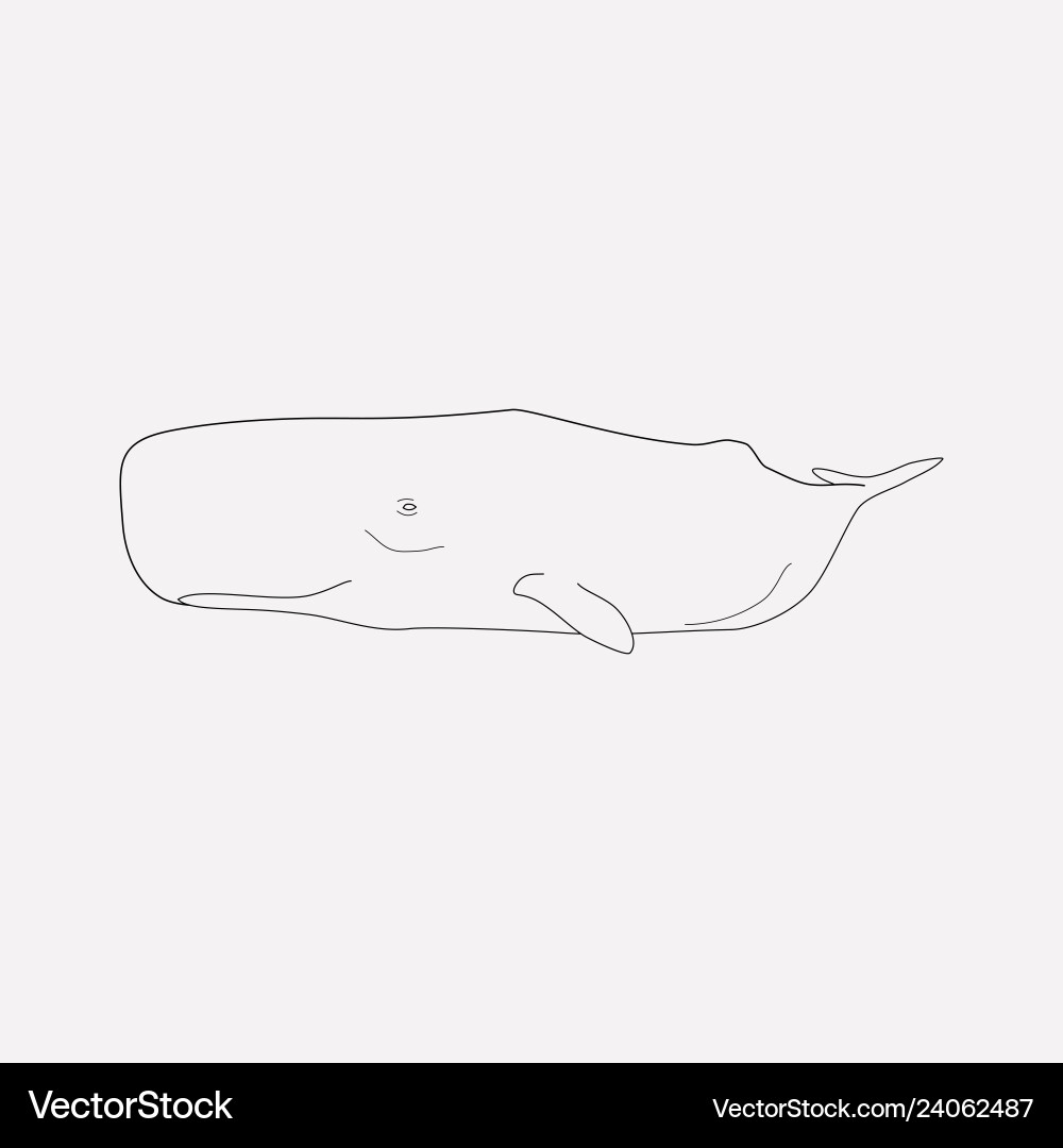 Cetacean icon line element Cetacean icon line element vector image