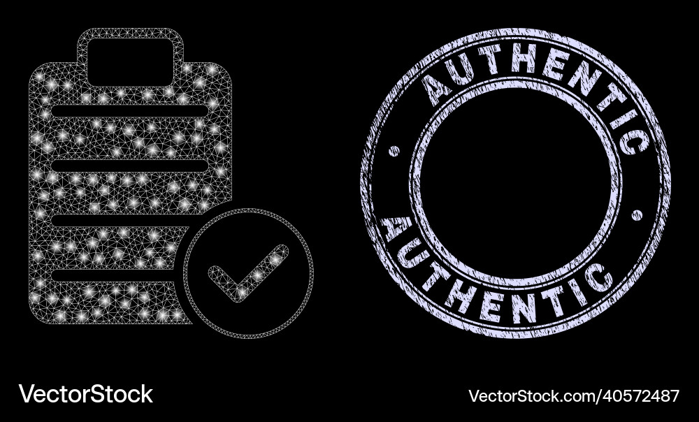 Grunge authentic watermark and bright net accept Grunge authentic watermark and bright net accept vector image