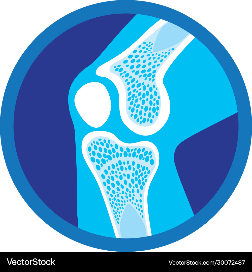 Icon or symbol orthopedic health knee joints Icon or symbol orthopedic health knee joints vector image