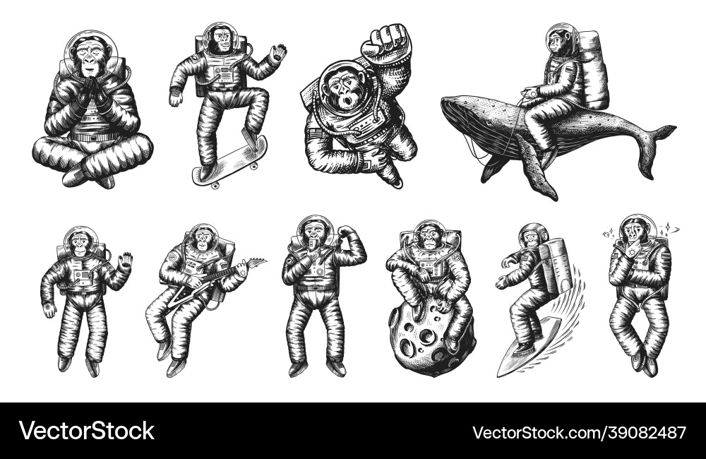 Monkey astronaut with whale guitar skateboard Monkey astronaut with whale guitar skateboard vector image