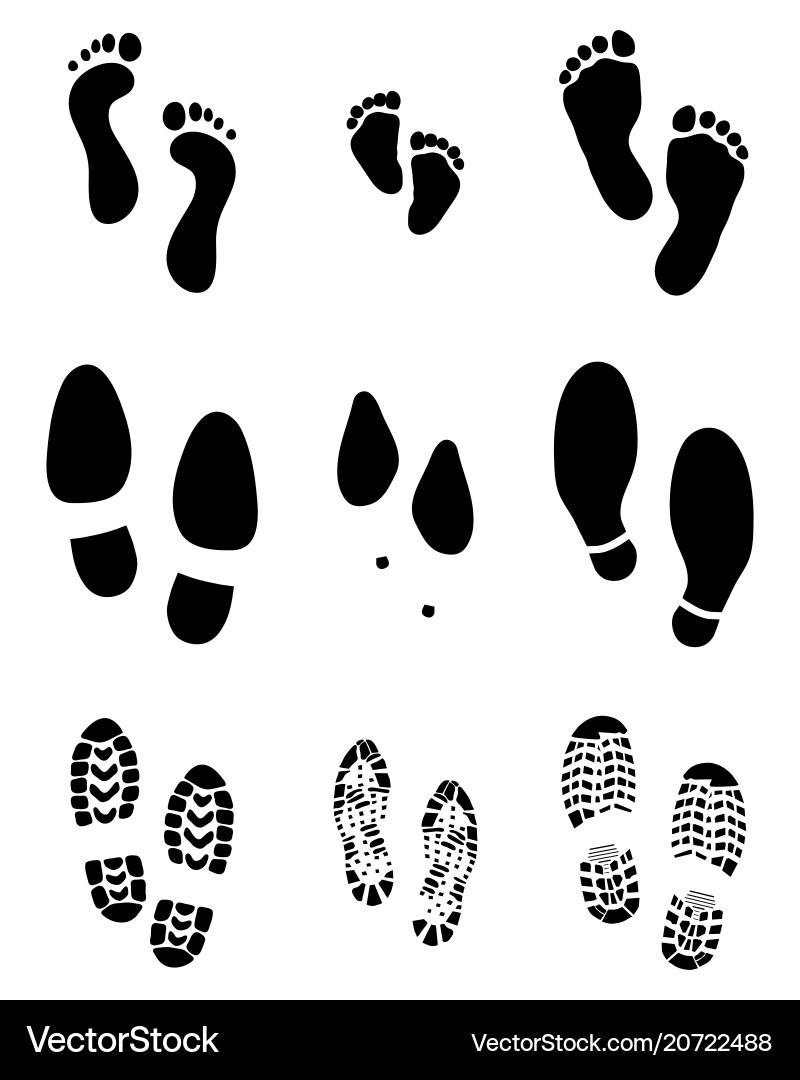 Footprints and Shoe Prints vector image