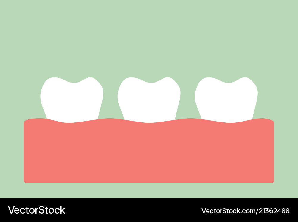 Healthy tooth Royalty Free Vector Image - VectorStock