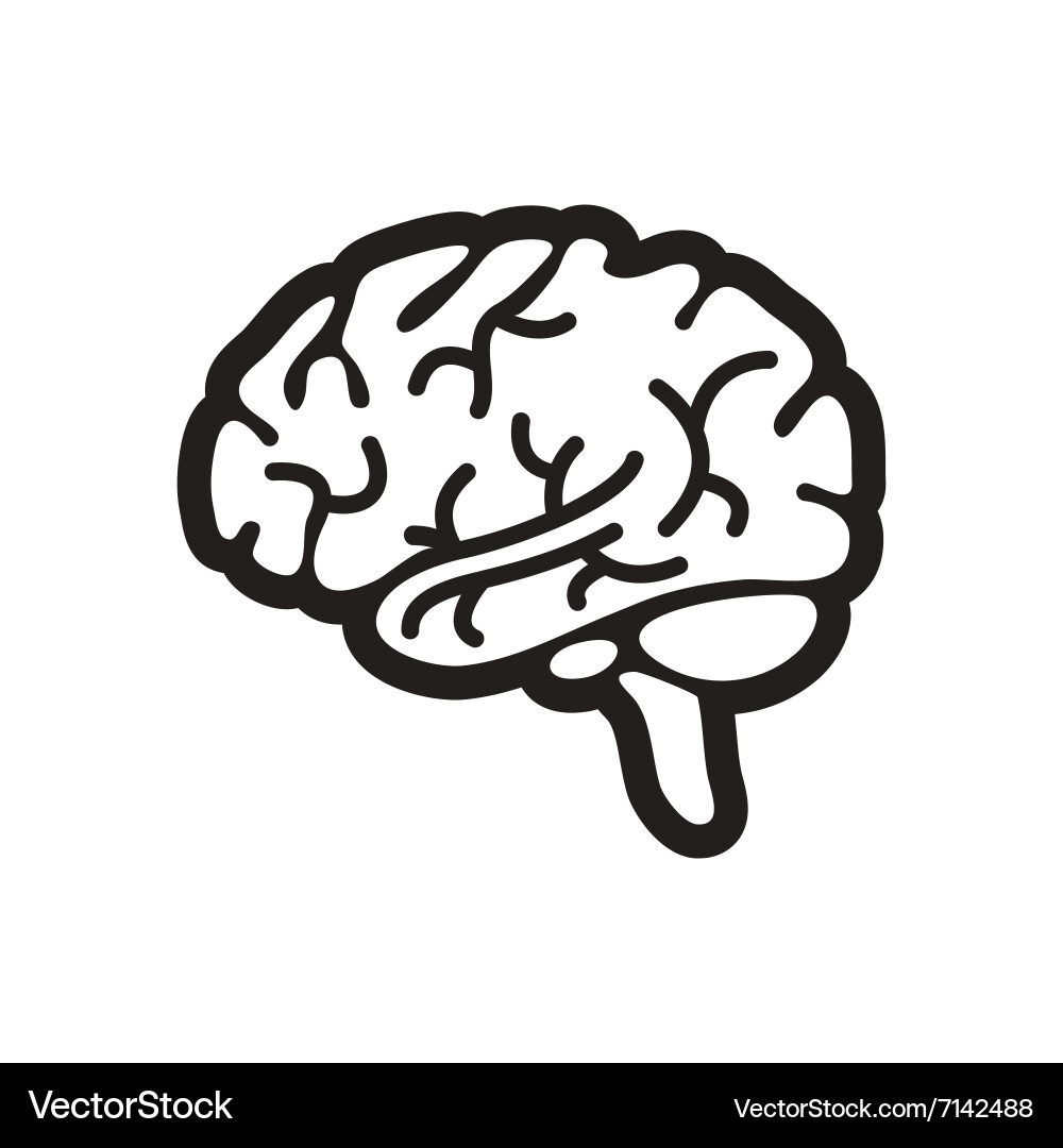 Stylish black and white icon human brain Vector Image