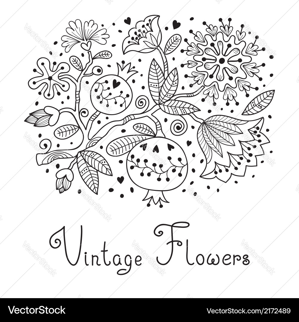 Floral Pomegranate Vintage Vector Image