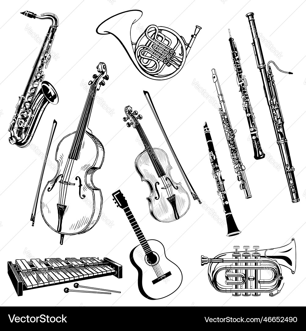 Collection of Classical Instruments vector image