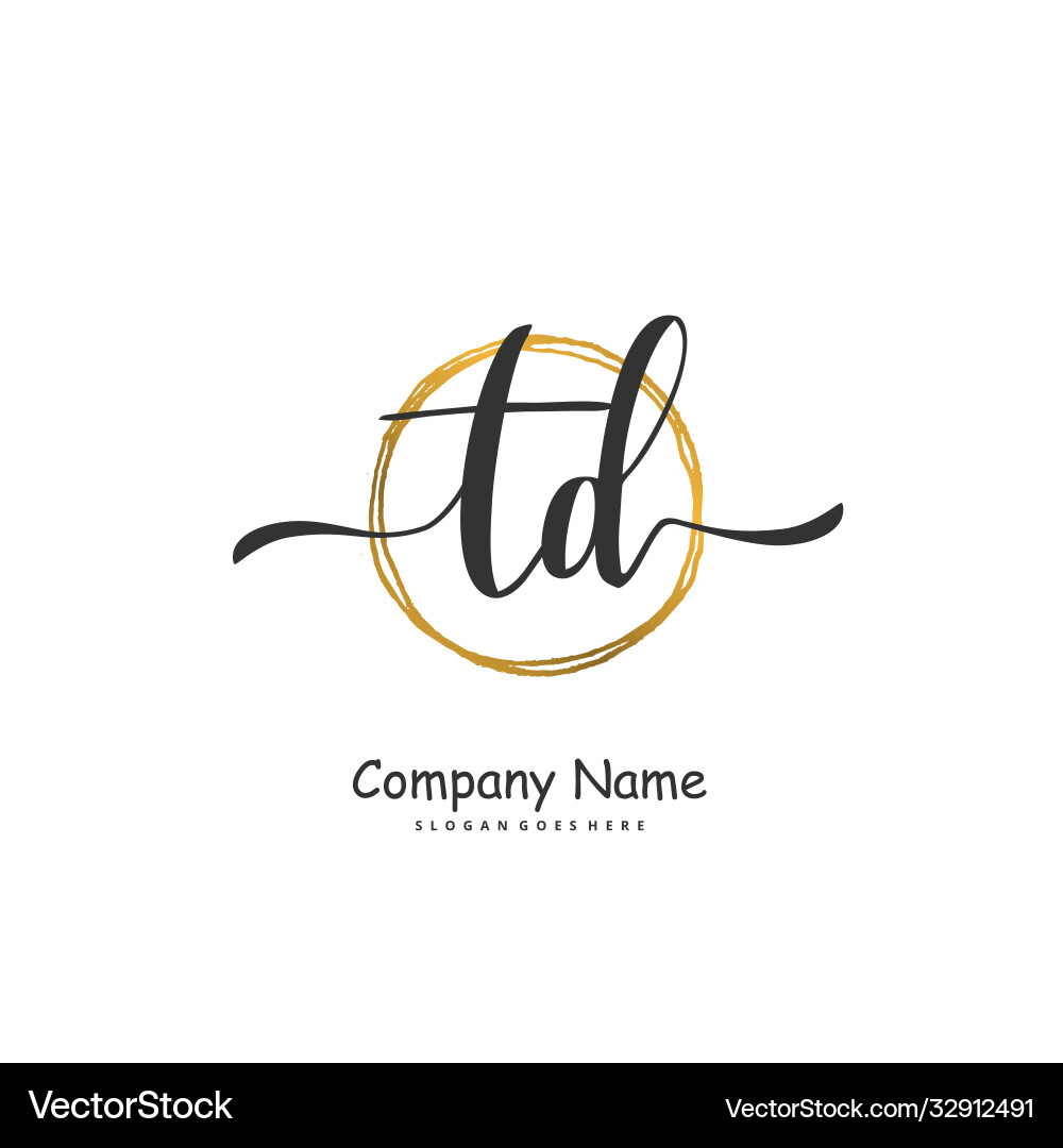 T d td initial handwriting and signature logo Vector Image