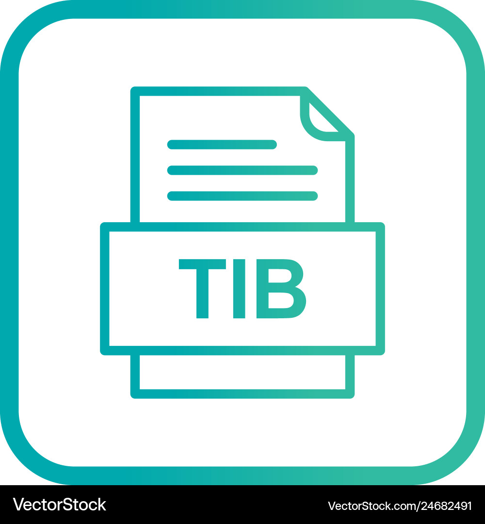 Tib file document icon vector image