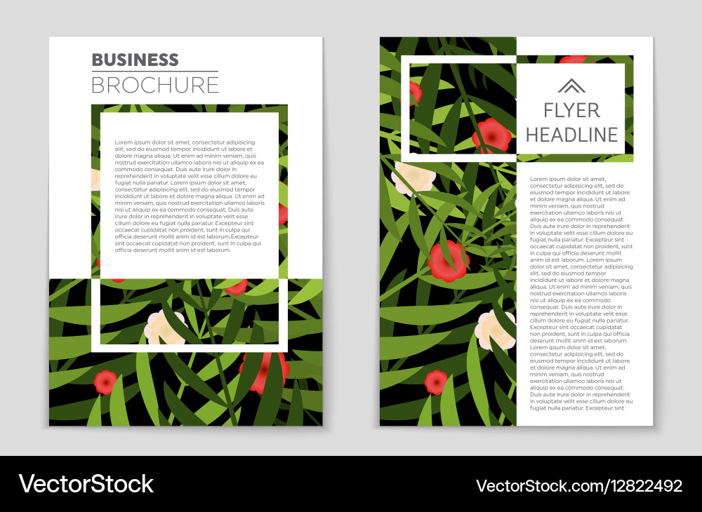 Abstract layout background set for art Vector Image