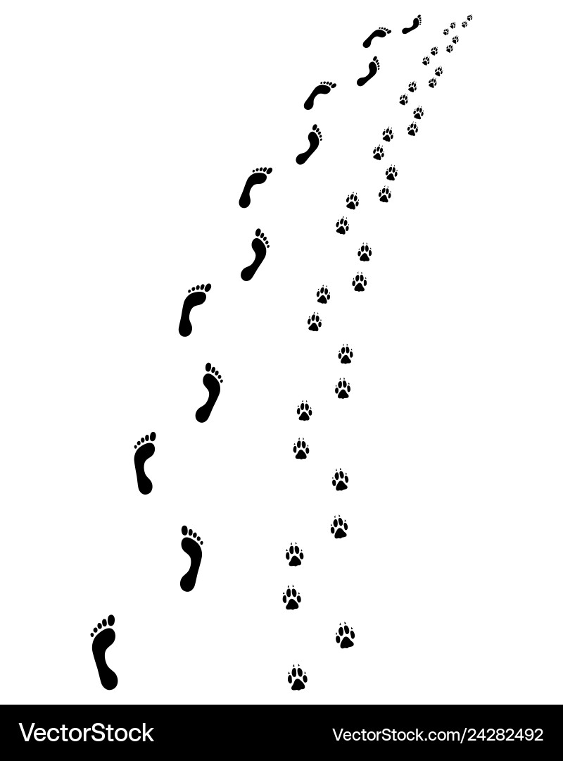 Footprints and Paw Prints Vector Image