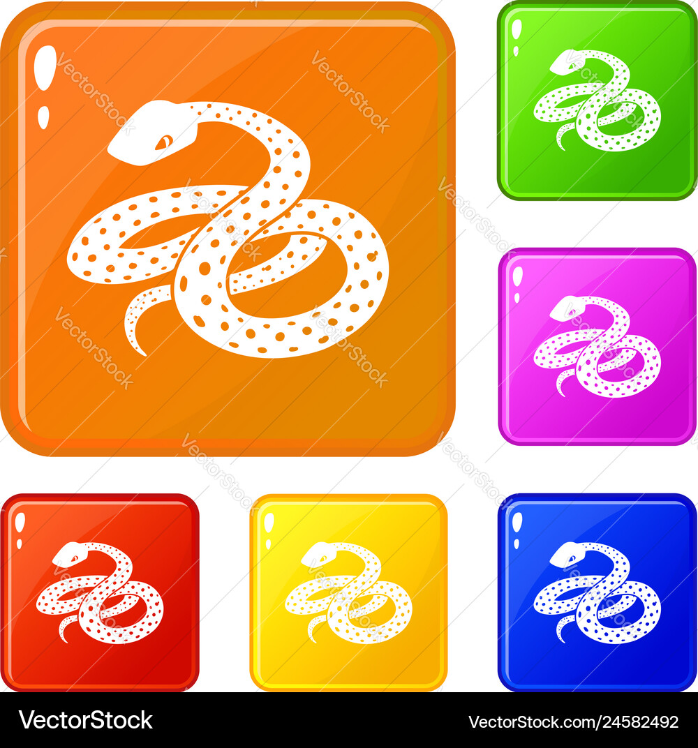Mexican kingsnake icons set color Mexican kingsnake icons set color vector image