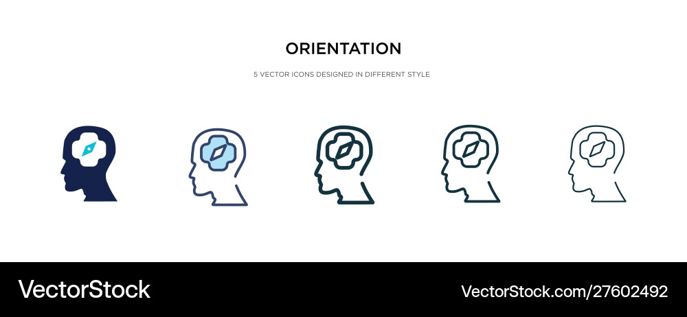 Orientation icon in different style two colored Vector Image