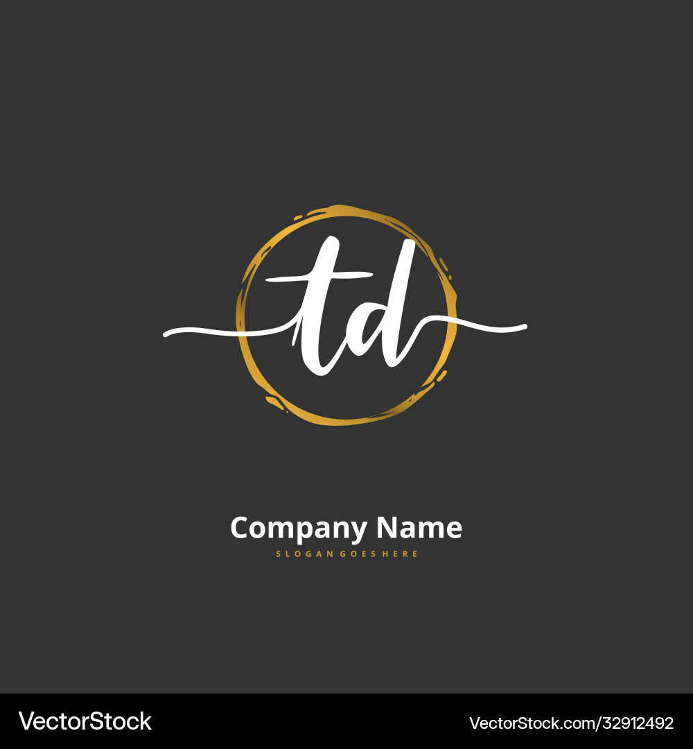 T d td initial handwriting and signature logo Vector Image
