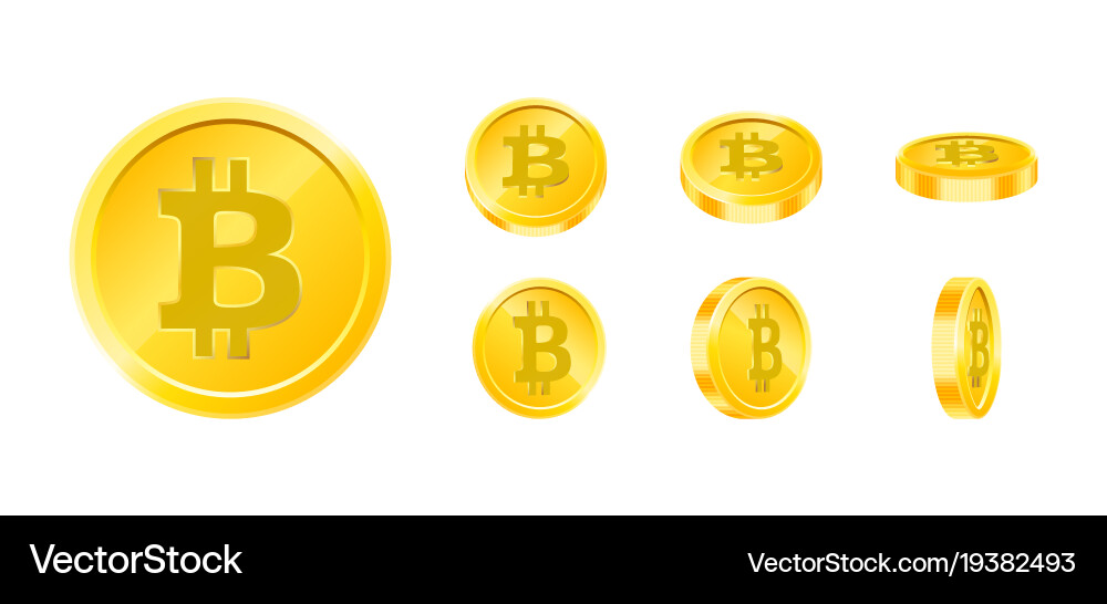 Bitcoin gold coin icon set in different angles vector image