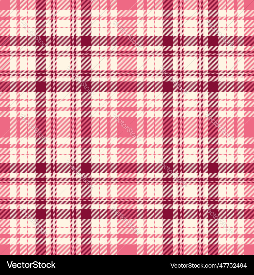 Background pattern of texture check plaid Vector Image