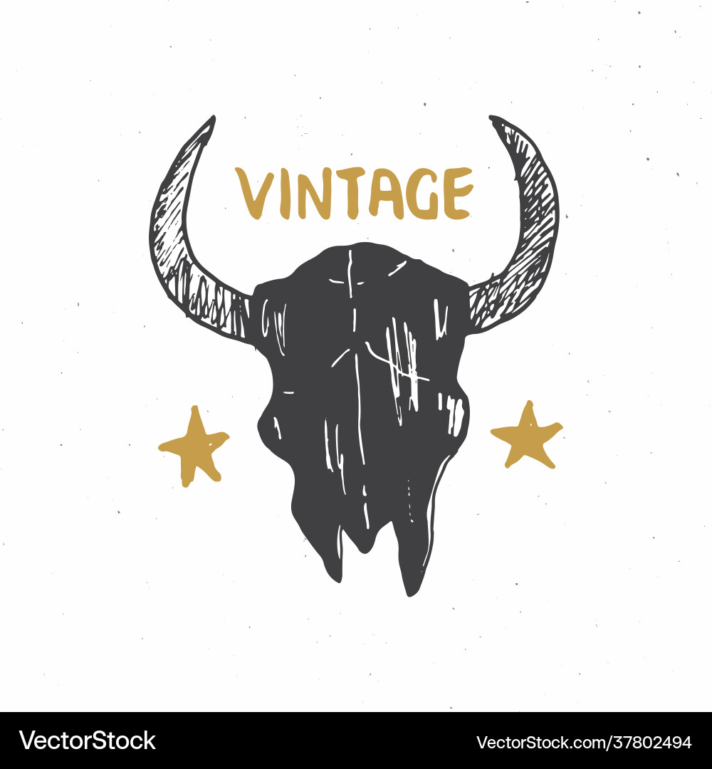 Bull or cow skull animal head graphic print Bull or cow skull animal head graphic print vector image