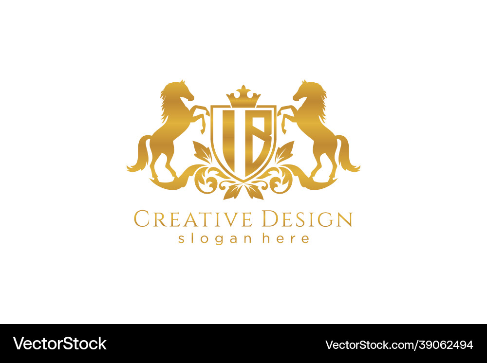 Initial ib retro golden crest with shield and two Initial ib retro golden crest with shield and two vector image