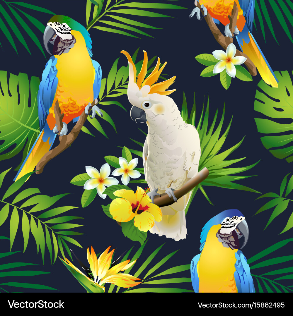 Tropical Parrot Seamless Pattern Vector Image