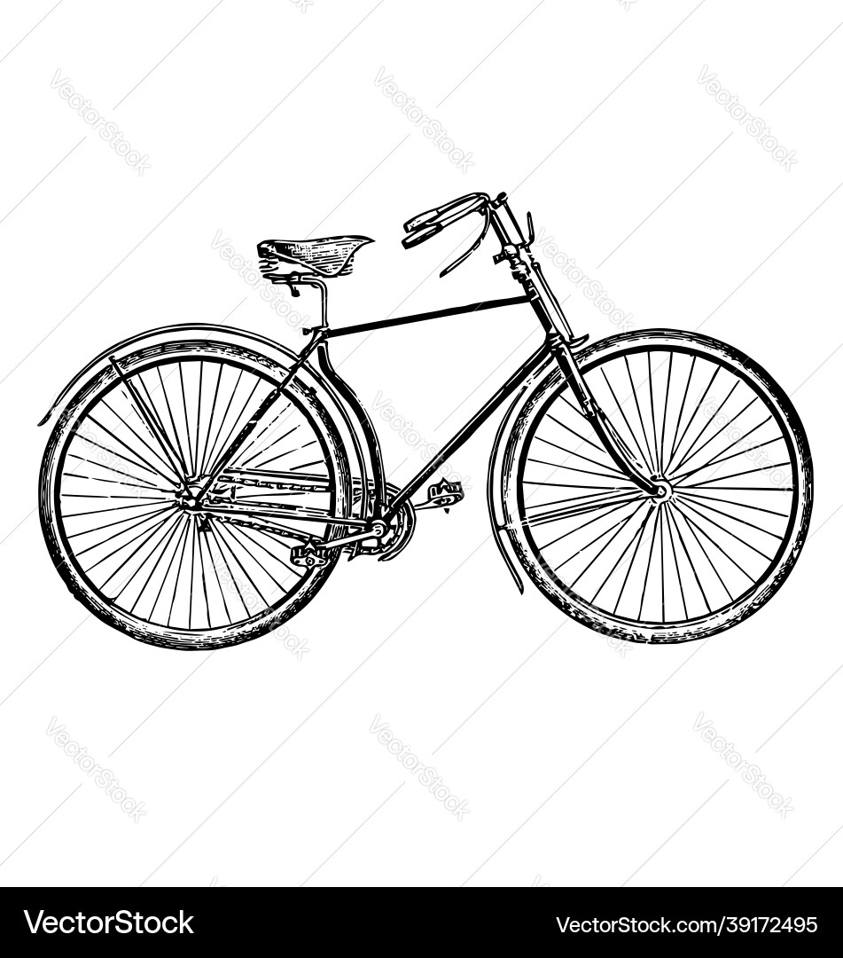 Vintage retro bicycle ink etching Vector Image