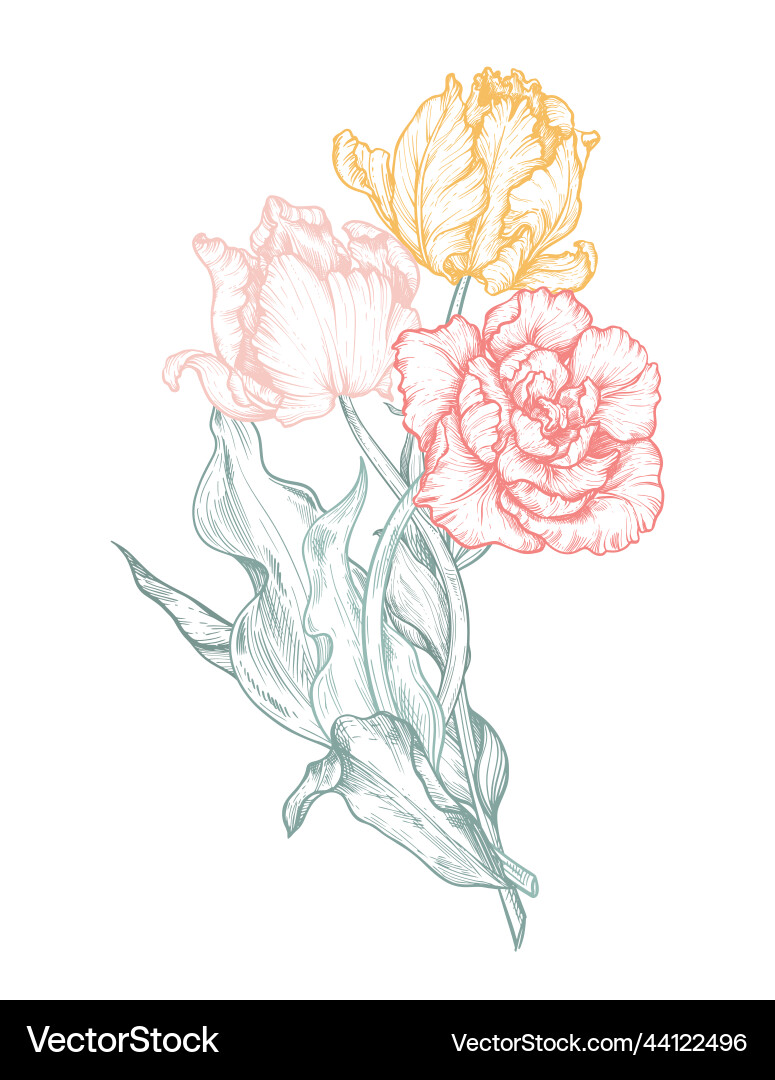Beautiful hand drawn composition with tulip Beautiful hand drawn composition with tulip vector image