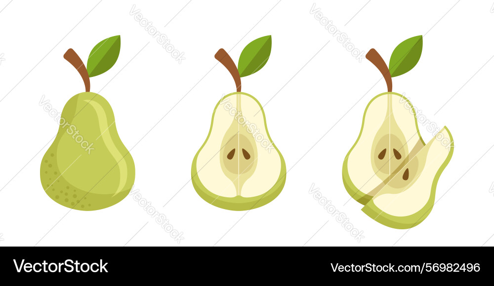 Pear icon set collection in flat style fresh vector image