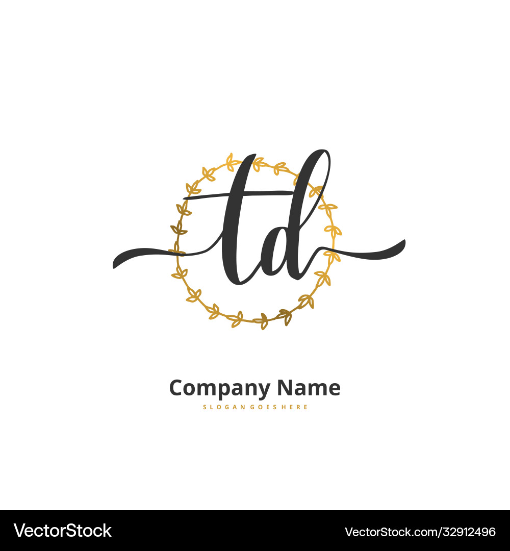 T d td initial handwriting and signature logo Vector Image