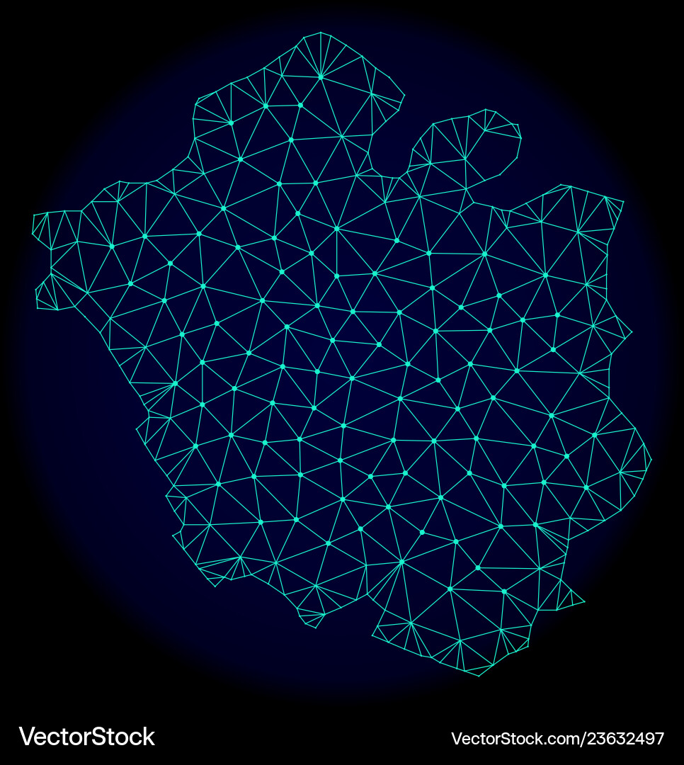 Polygonal network mesh abstract map Polygonal network mesh abstract map Vector Image