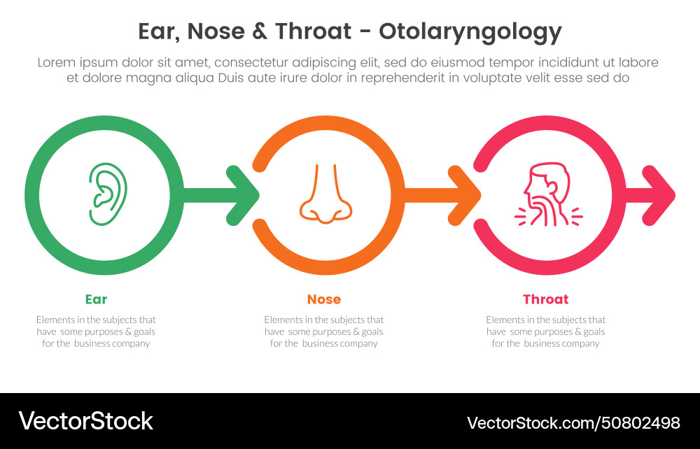 Ent-Gesundheitskrankheit Infografik 3 Punkt Ent-Gesundheitskrankheit Infografik 3 Punkt vektorbild