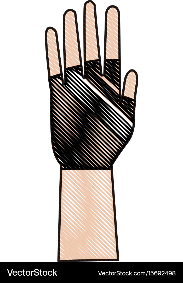 Hand open showing finger part icon Vector Image